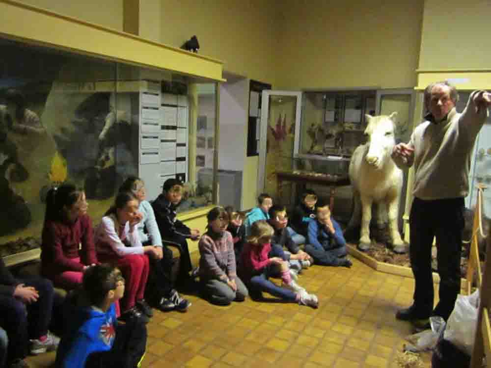 Au museum d'Autun