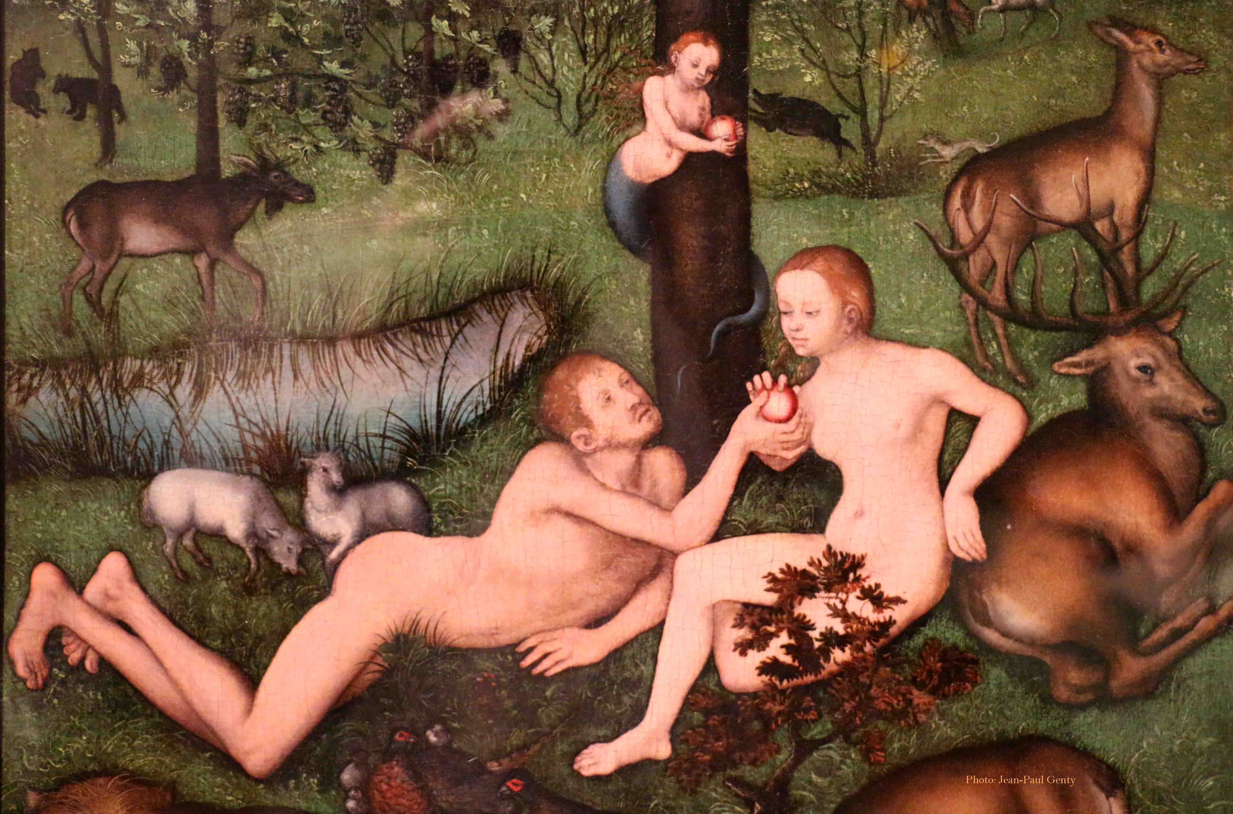 Lucas Cranach Collection privée - Exposition Autun